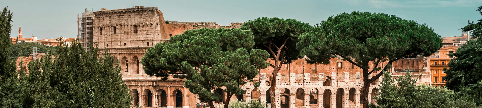 Colosseum surrounded by trees in Rome, Italy