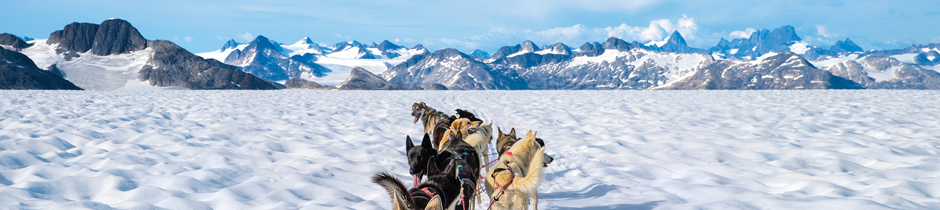 Dog sledding in Alaska