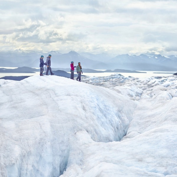 Let the outside in with Norwegian