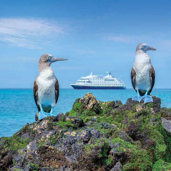 Explore with National Geographic-Lindblad Expeditions