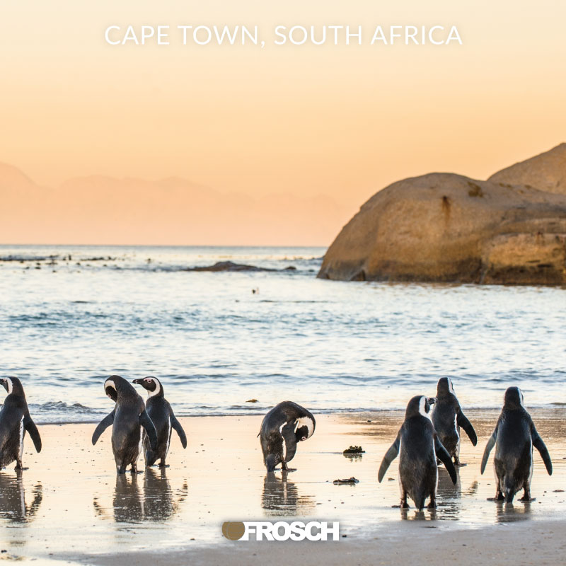Destination Spotlight | Cape Town, South Africa | Frosch ...
