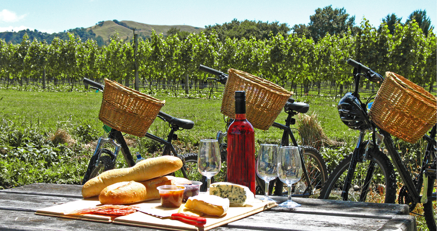 Bicycles in NZ Vineyards