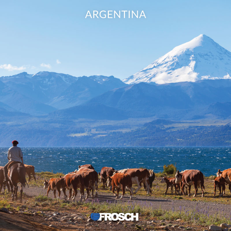 Destination Spotlight | Argentina | Frosch Vacations
