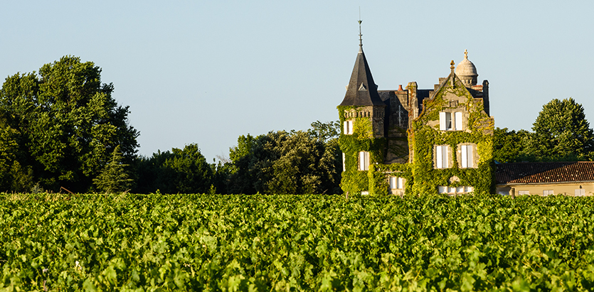 Vine-clad chateaux overlooking vineyard in Bordeaux, France