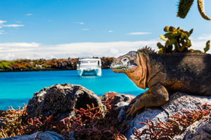 Galapagos Islands by Small Ship