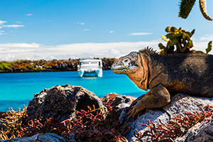 Roundtrip Isla San Cristobal (Puerto Baquerizo Moreno)