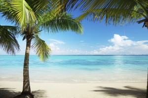 Roundtrip Punta Cana