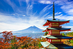 Yokohama (Tokyo)/Tokyo