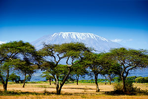 Maasai Mara